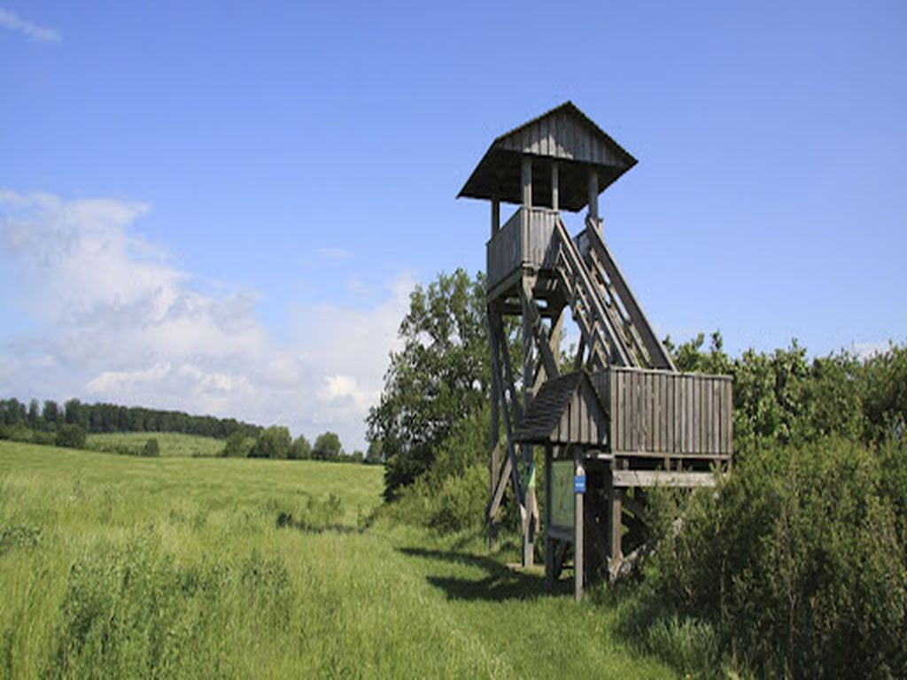 Shelter Watchtower Beobachtungsturm Mechower See
