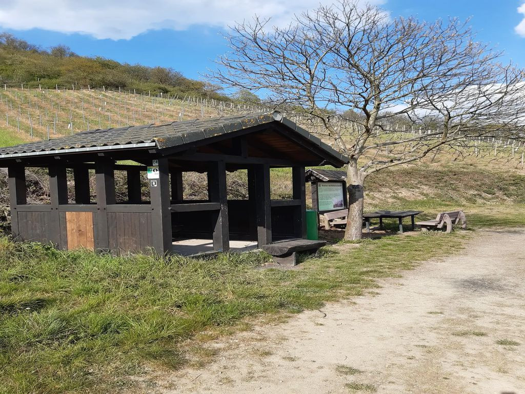 Shelter