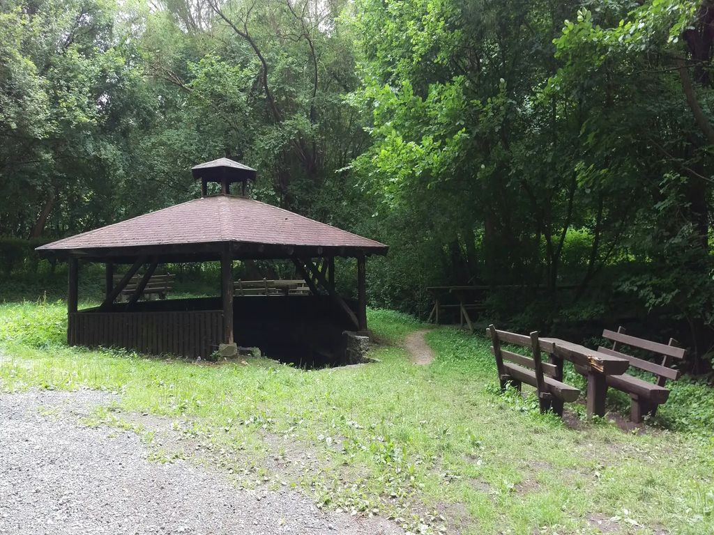 6434- Großer Grillpavillon