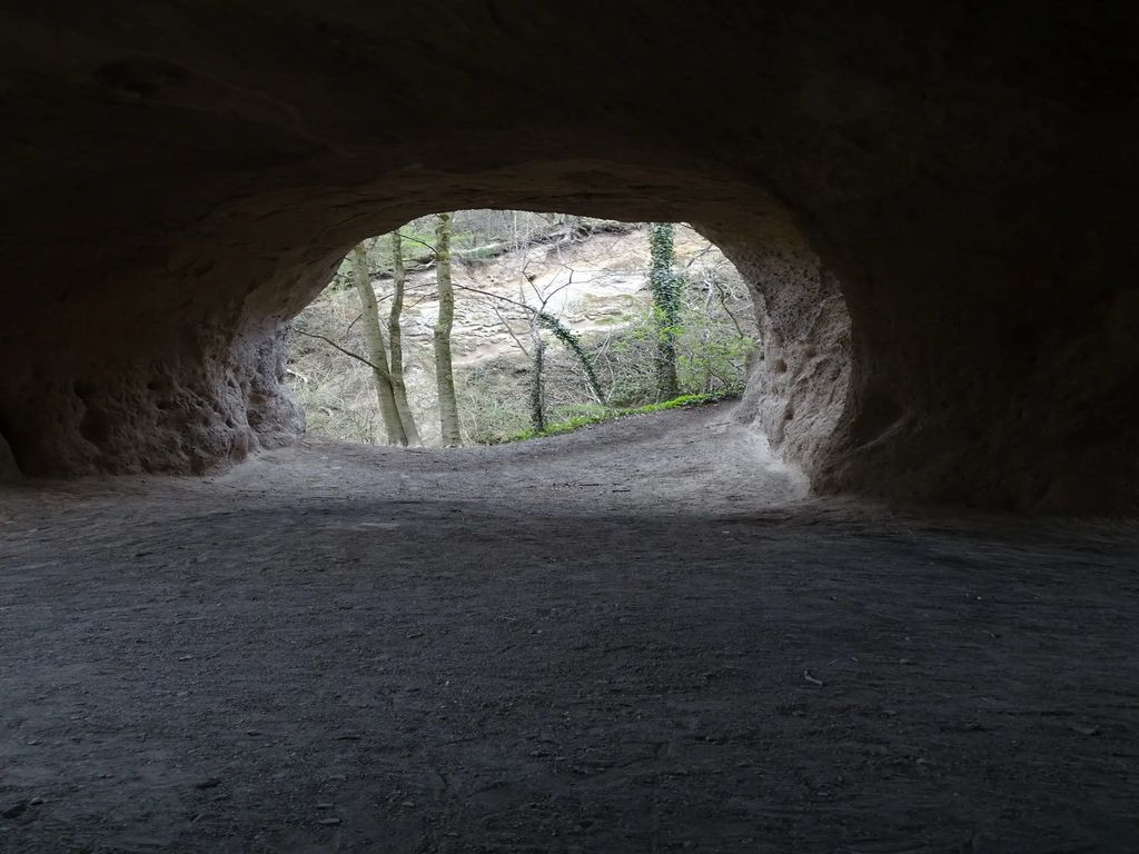 Trasshöhle