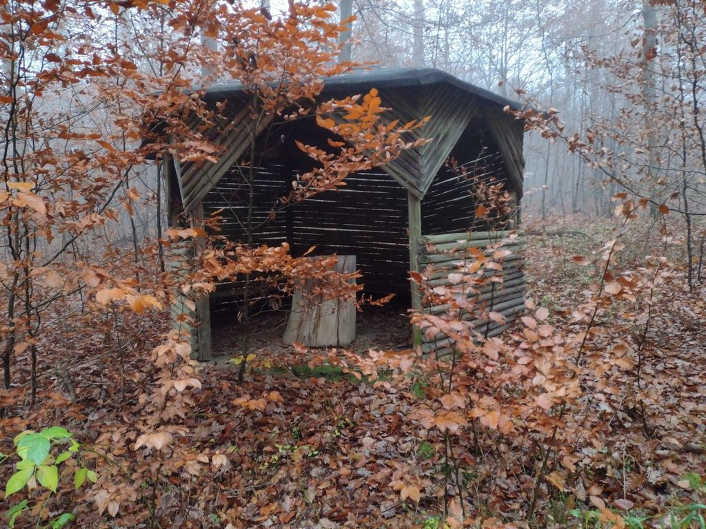 Shelter near K 12