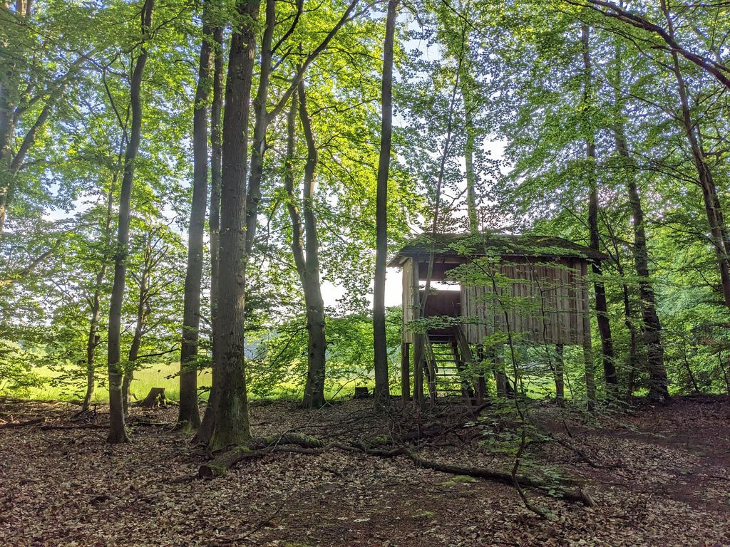 Aussichtsplattform Rottwiese