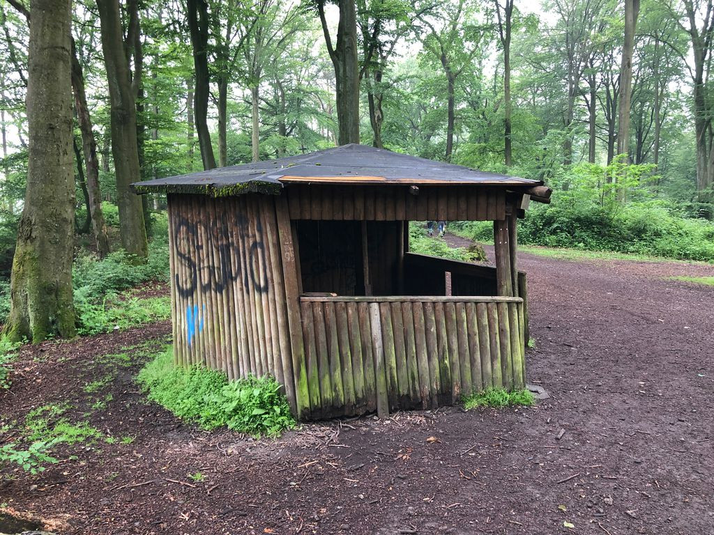 Basic Shelter