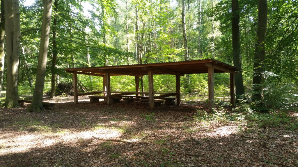 Near Bralitz in the forest