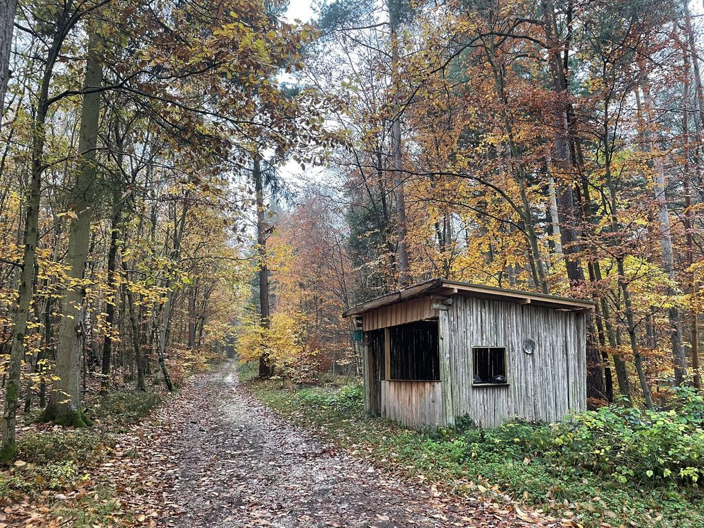 Shelter near Rindtstraße