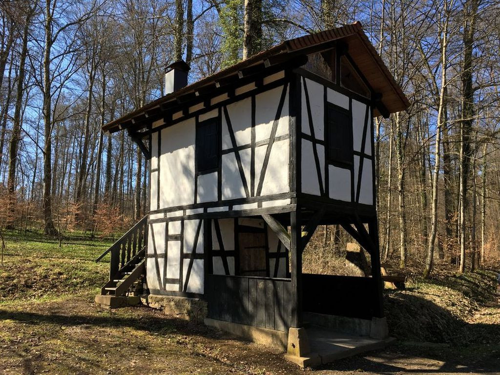 Hütte am Forsthof