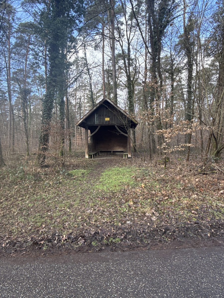 shelter/ Hut