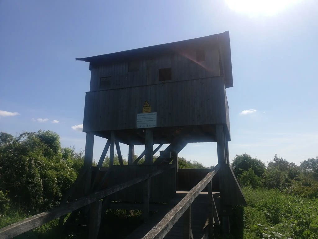 Aussichtsturm mit Plattform Liebenauer Gruben