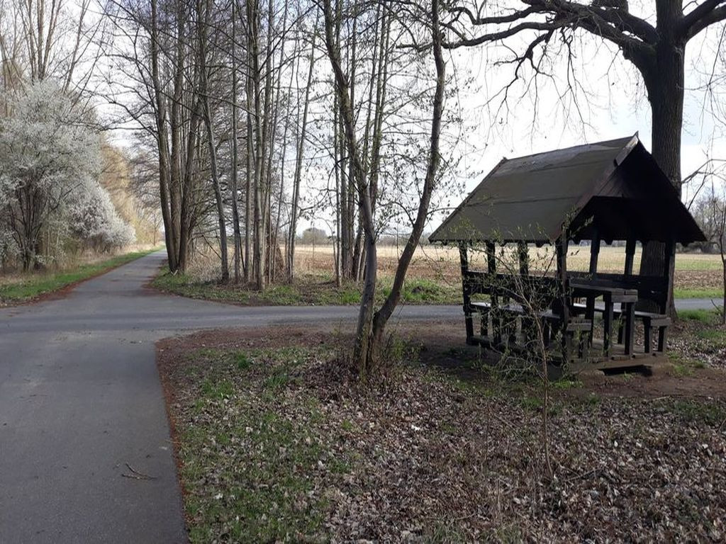 Lunch shelter near Burger Straße