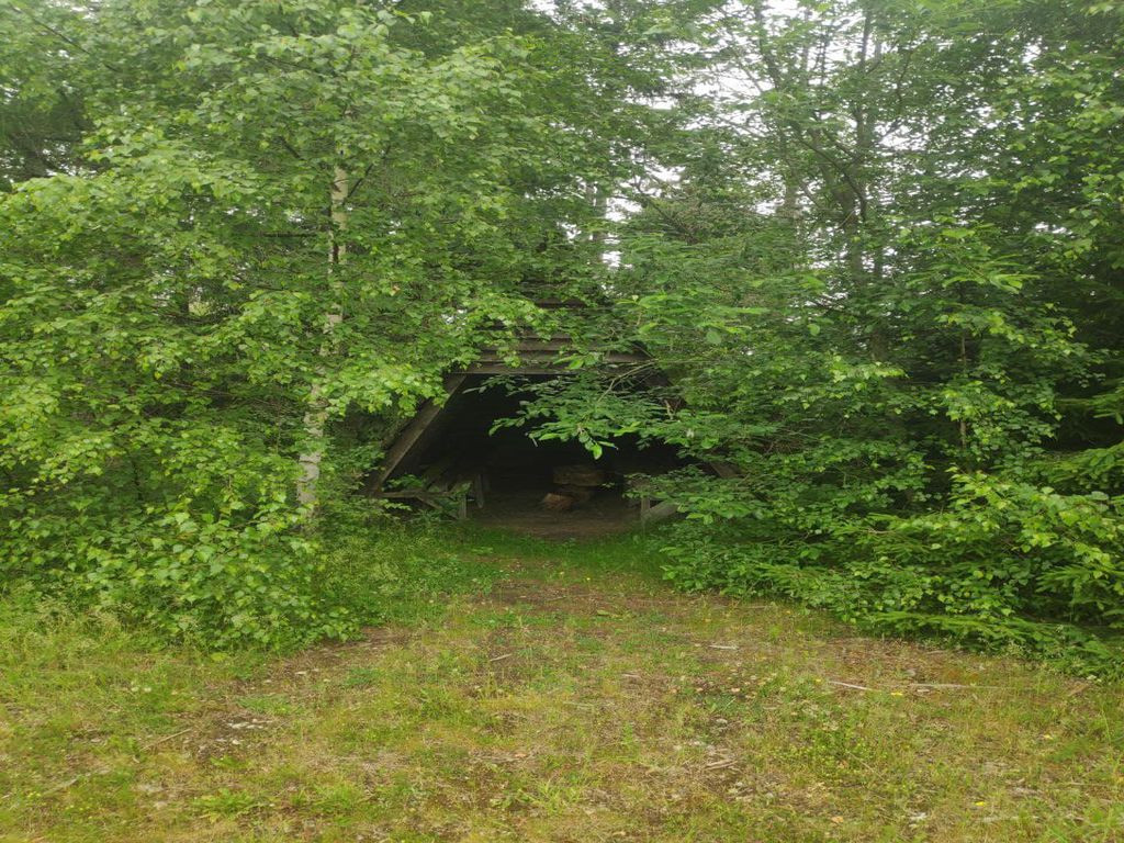 Shelter Ilsenburg