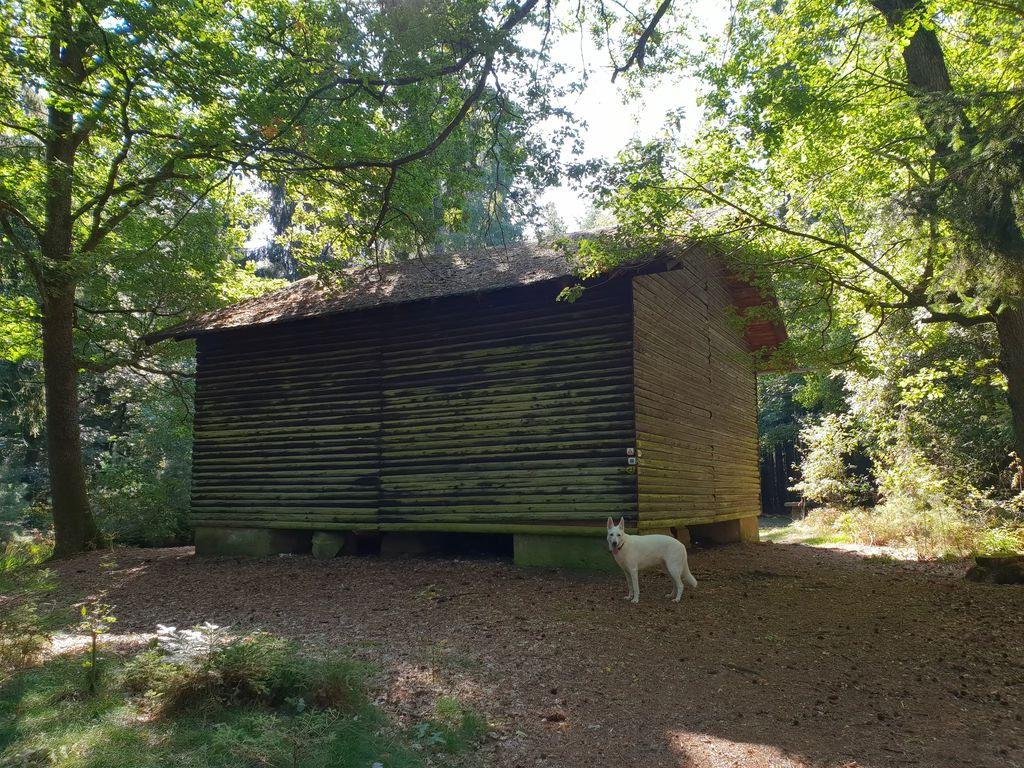 Ihrighütte Lärmfeuer