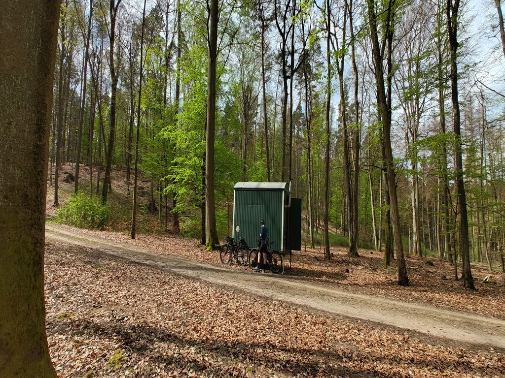 Sammelplatz tief im Wald