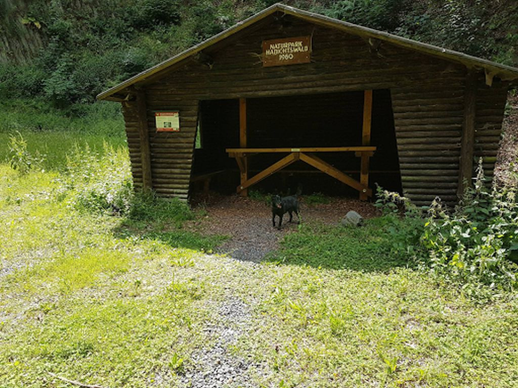 Schutzhütte Steinbruch Katzenloch