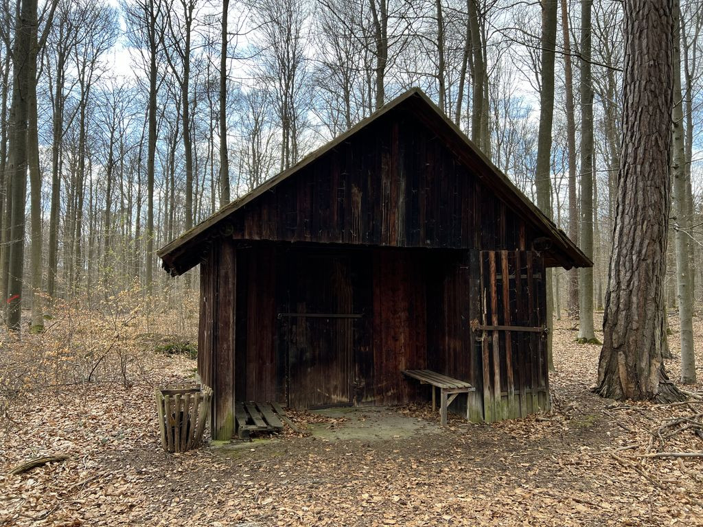 Waldarbeiterhütte