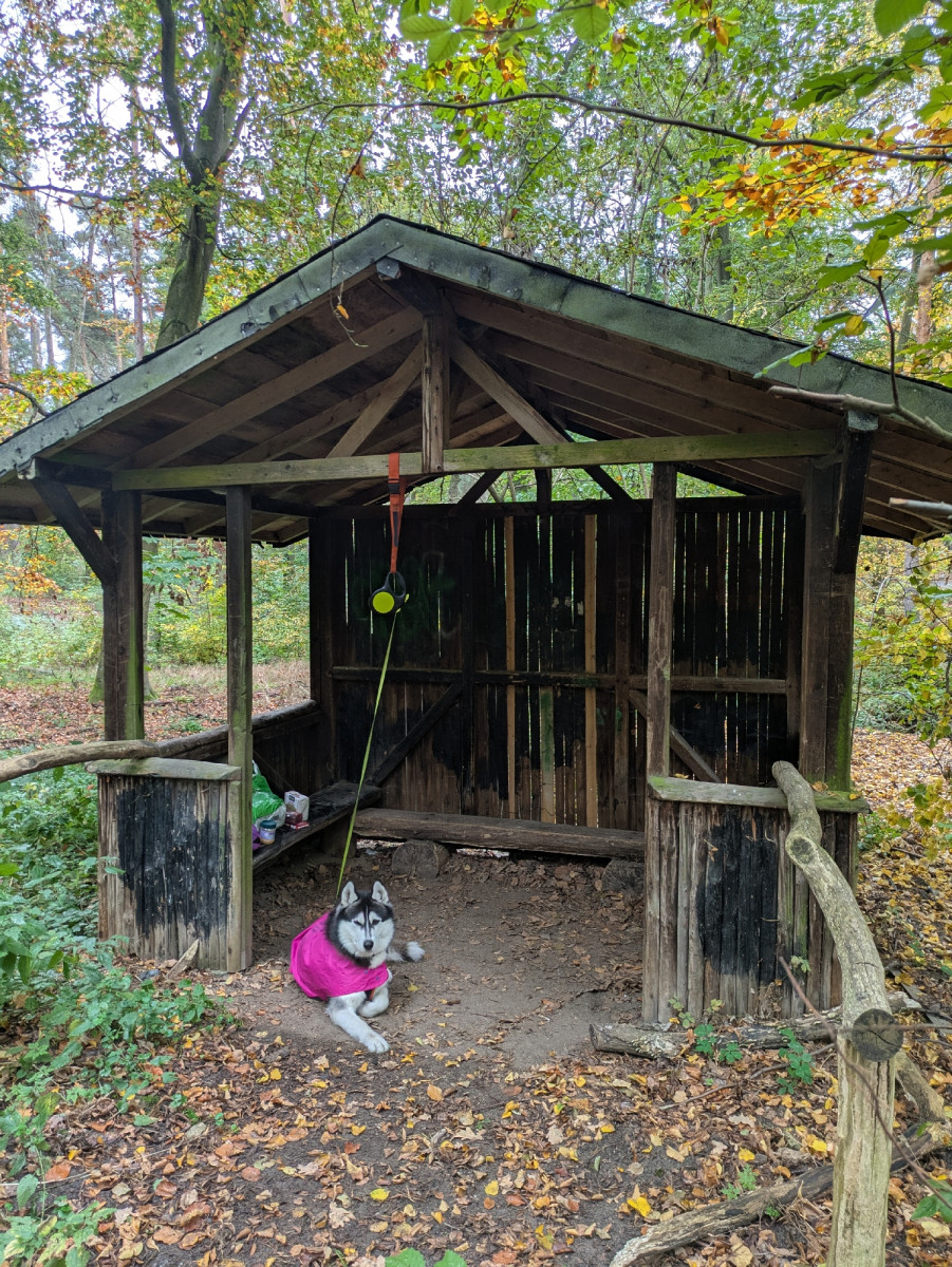 Lunch shelter near Schildhornweg