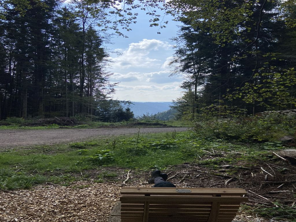 72275 - Schutzhütte Judenwald
