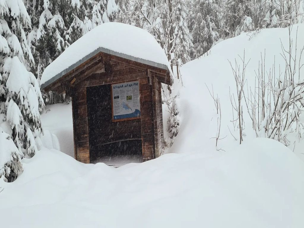 Schutzhütte Seesteig