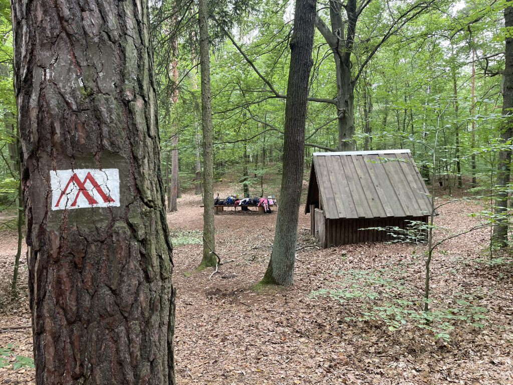 Shelter near Weißiger Gänsefuß