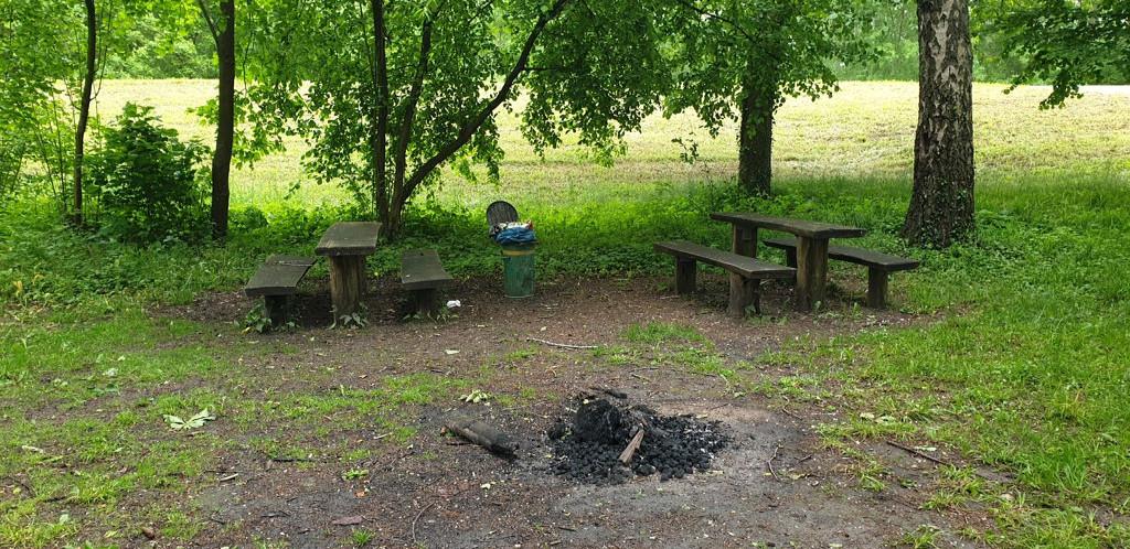 Shelter near Altrhein südl. Jockgrim