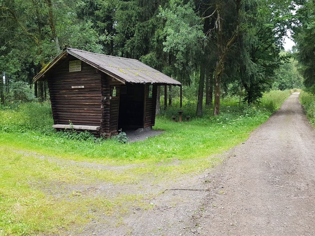 Spacy and dry shelter