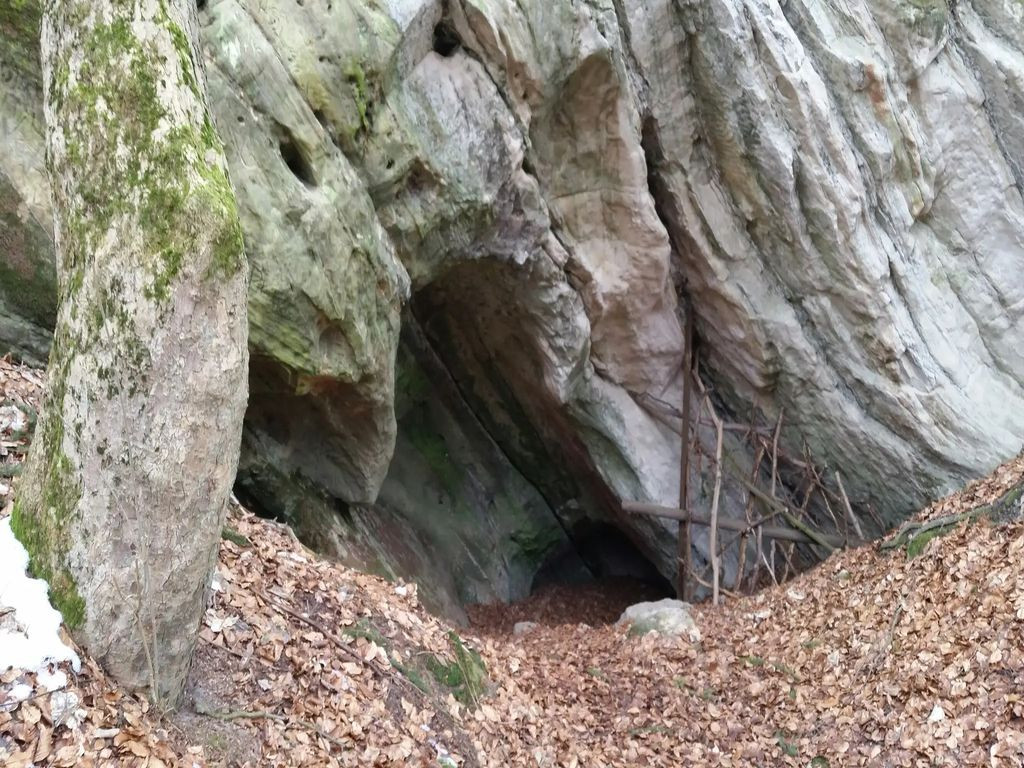 Kräuter August Höhle