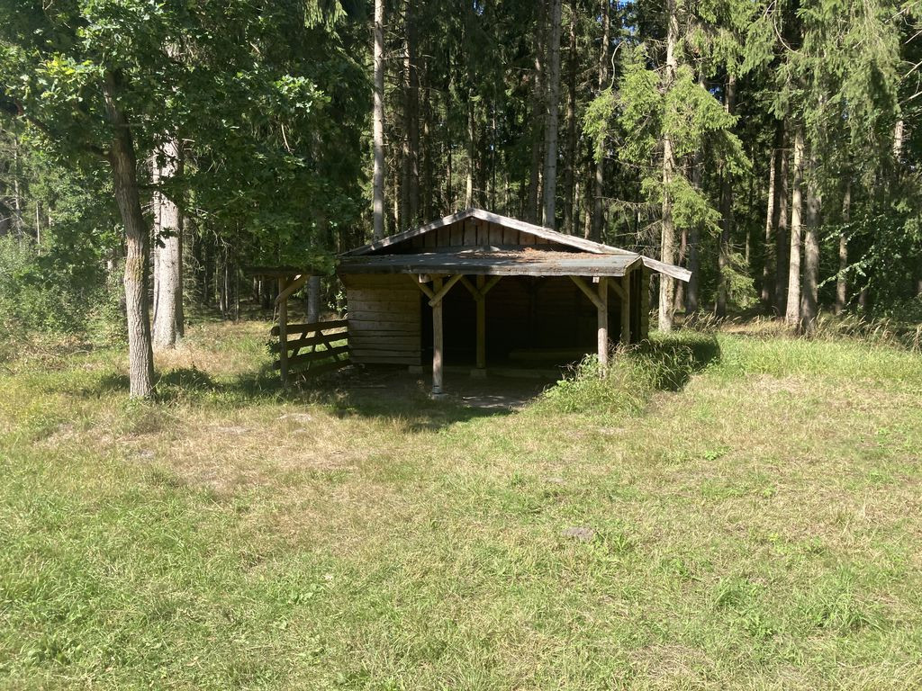 Waldhütte