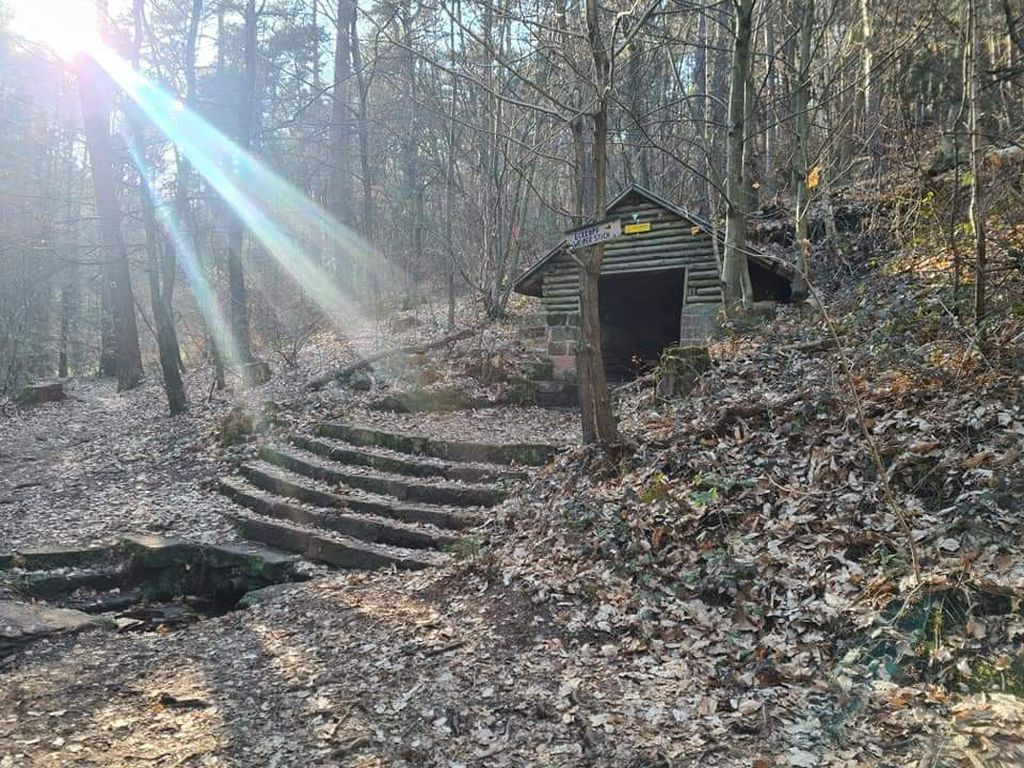 67146 - Schutzhütte