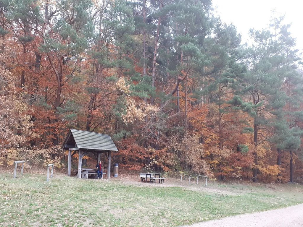 Basic Shelter