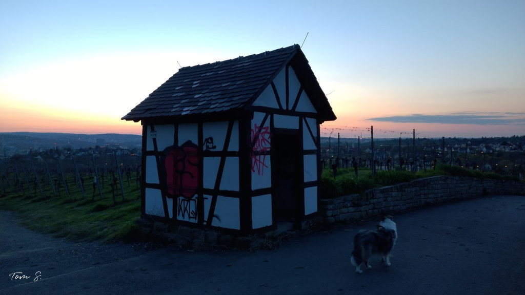 Hütte