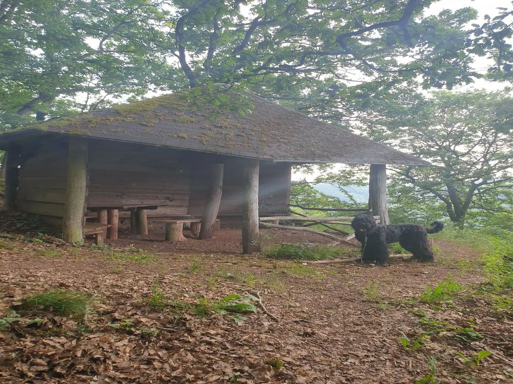 Antoniushütte