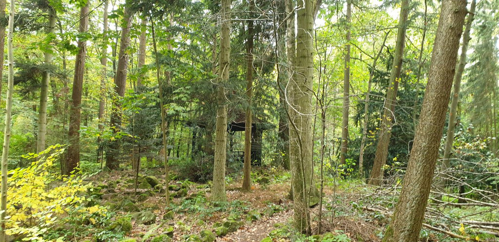 Lunch shelter near Forstgartenweg