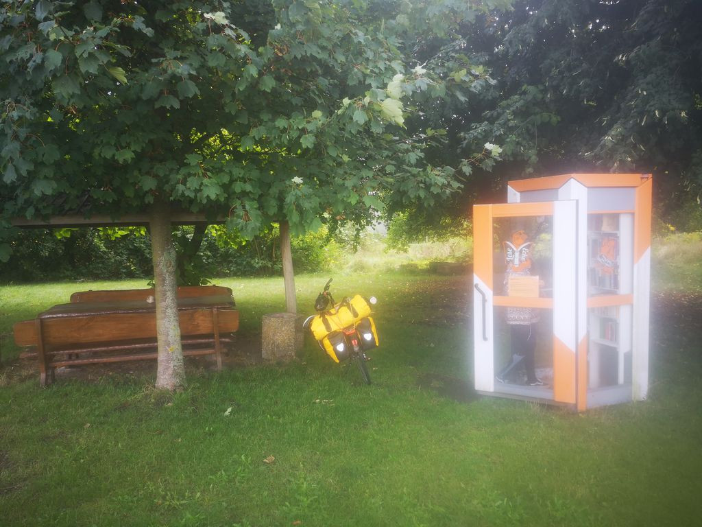 Shelter with library