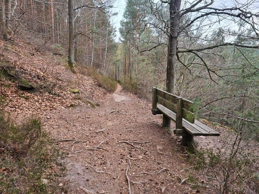 67146 - Biwakiermöglichkeit in Fels