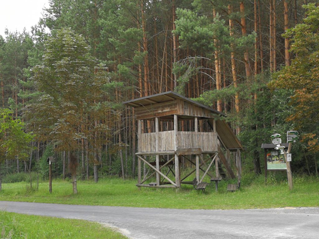 Kohlgrundkanzel