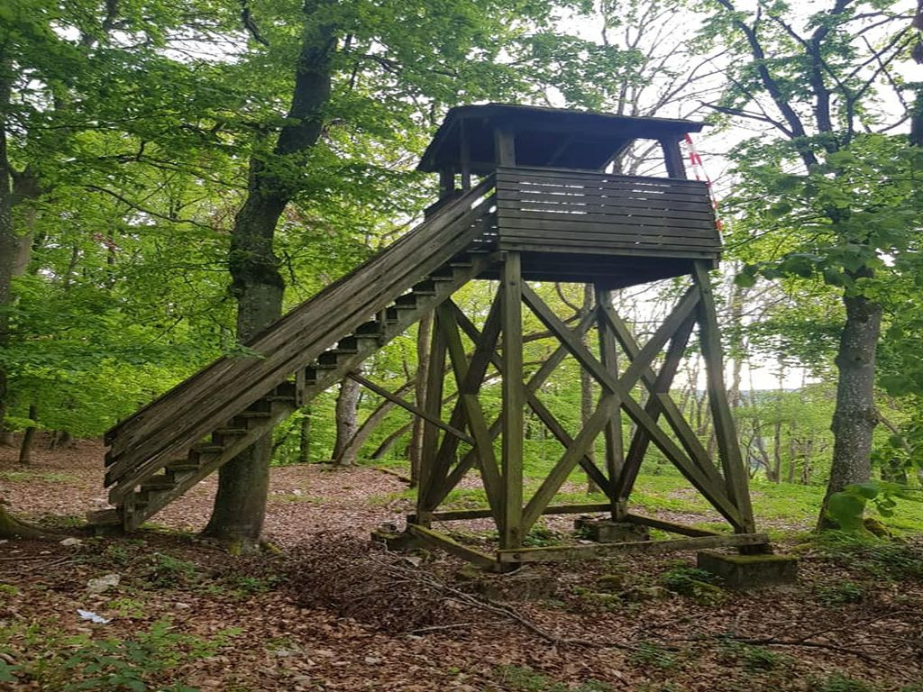 Other near Viersteinweg