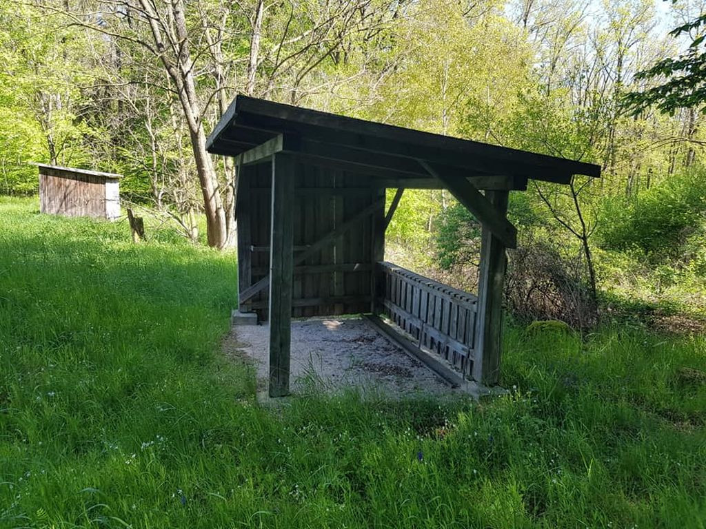 Basic Shelter