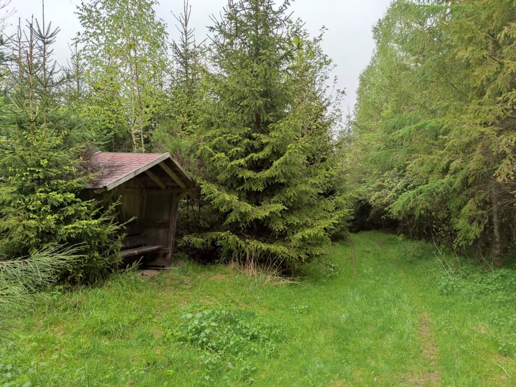 Basic shelter
