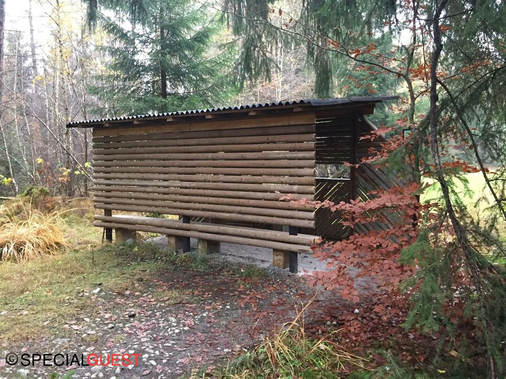 Neuhütte wildlife watchout