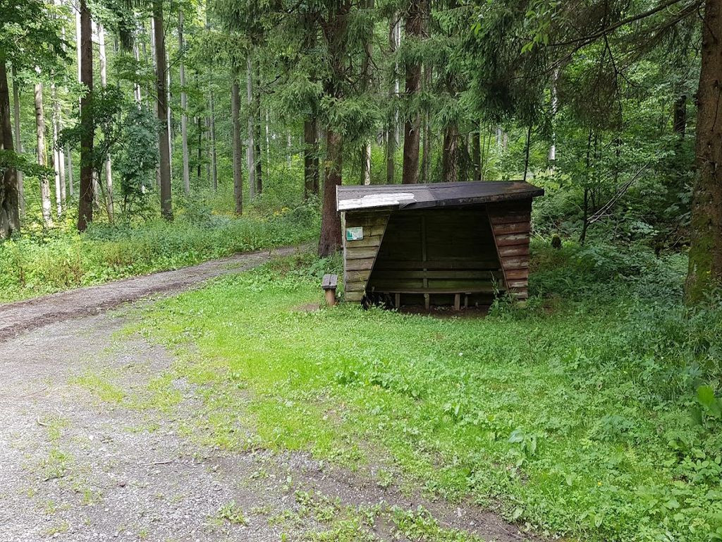 Lean to shelter