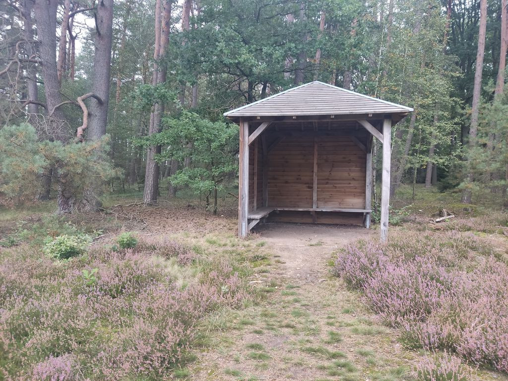 Open shelter