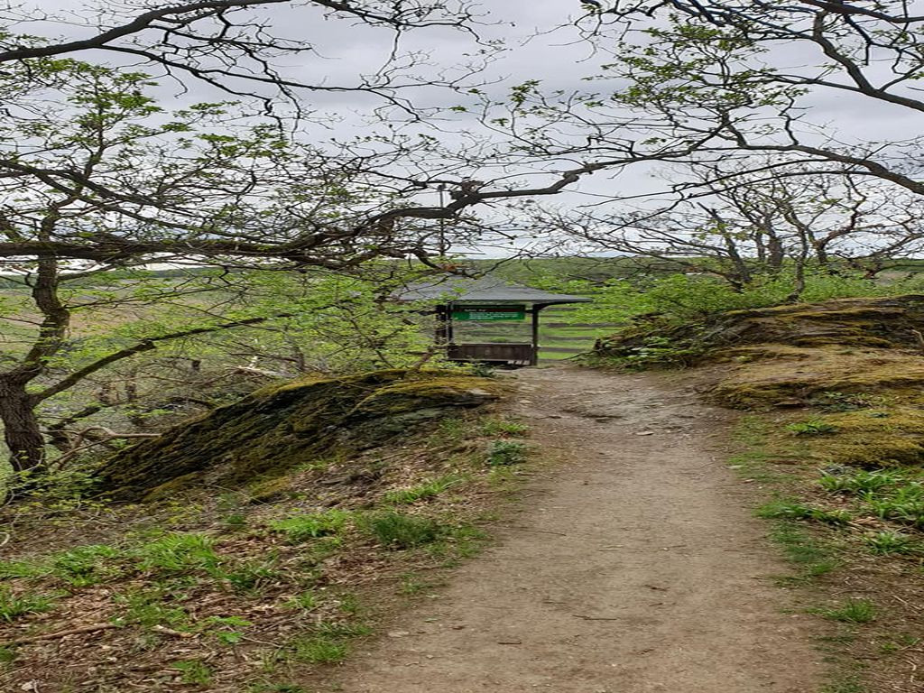 Basic shelter