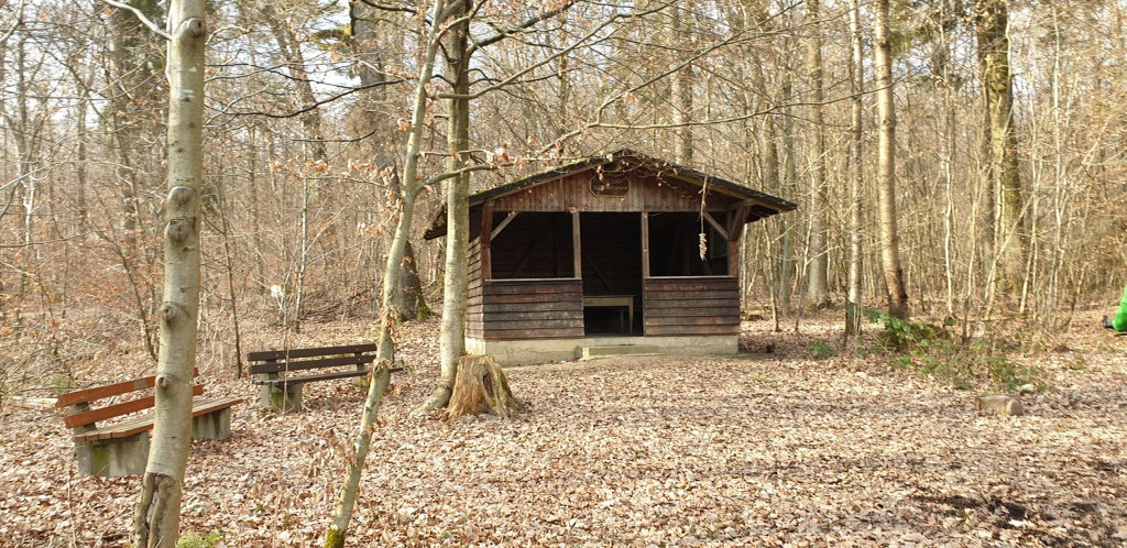 Shelter near Ludwigstraße