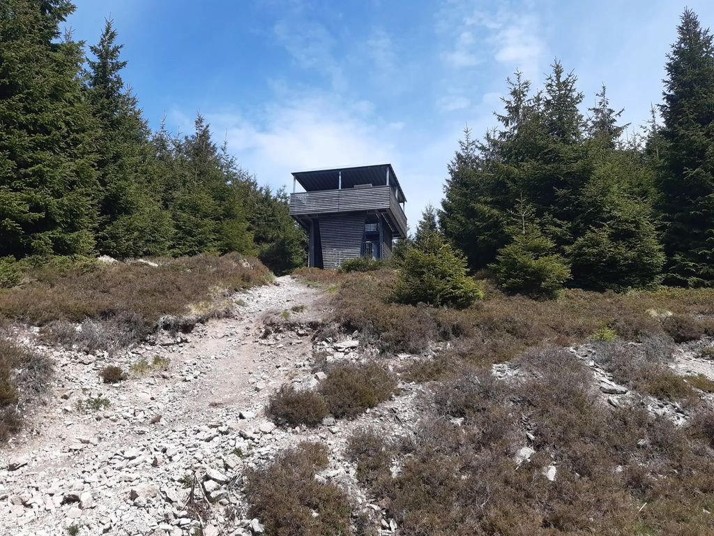 99897 - Aussichtsturm Hoher Schorn