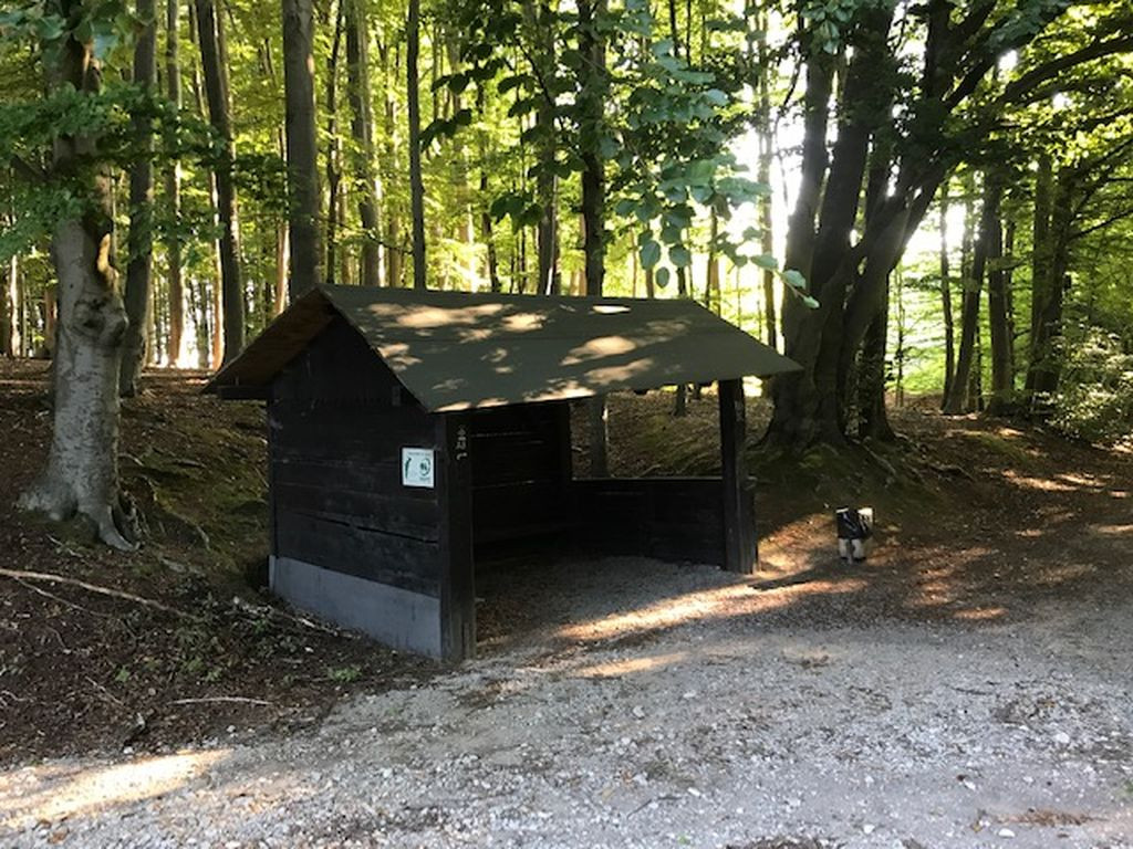 Shelter near Diebrock