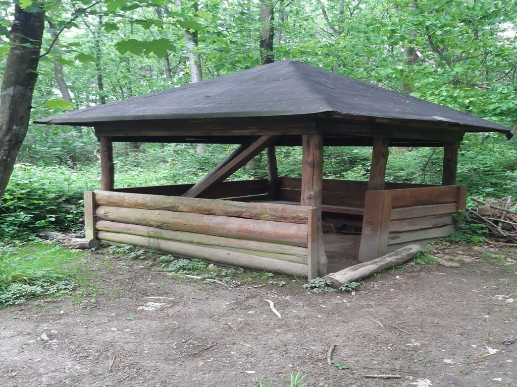 Shelter