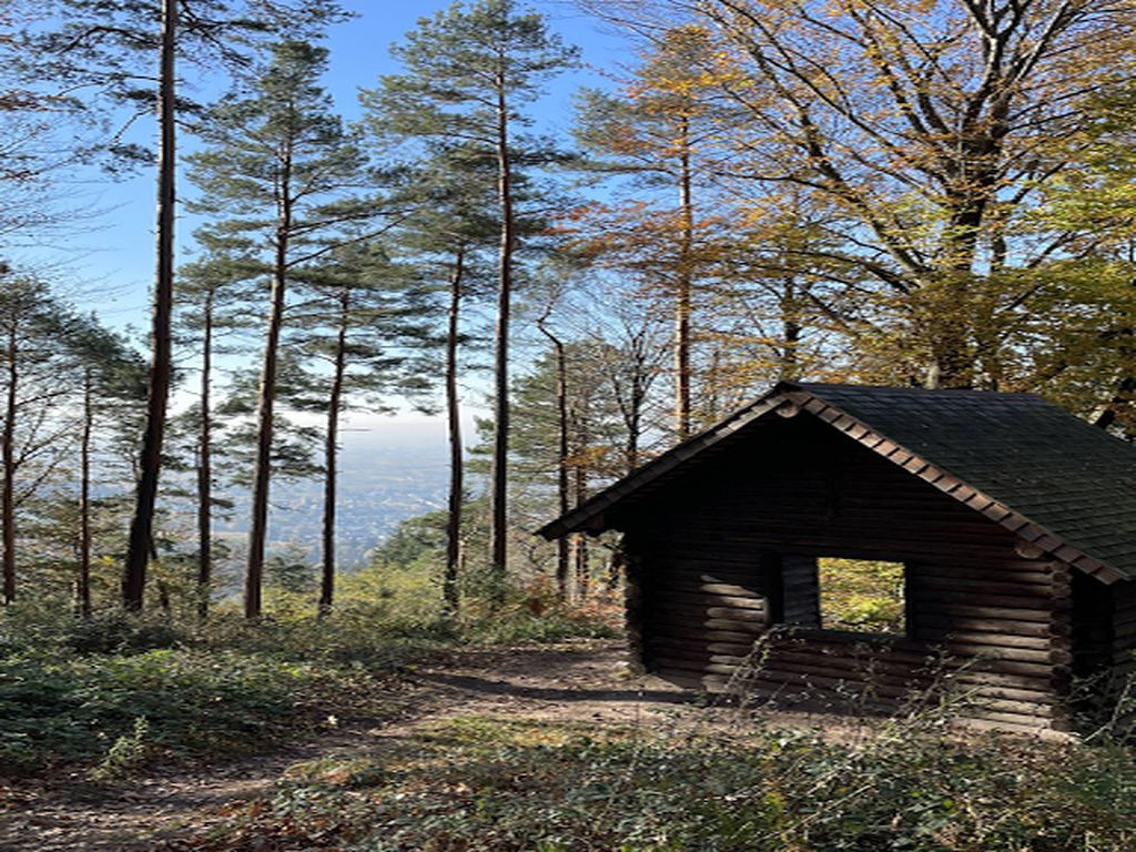 Lean-To