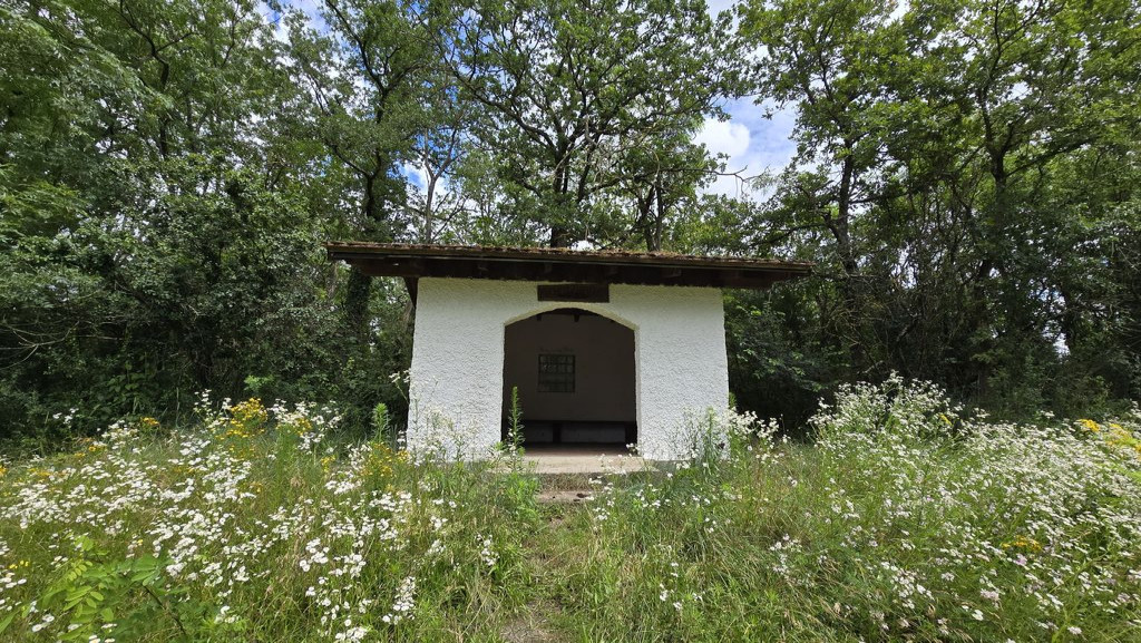 79395 - Schutzhütte