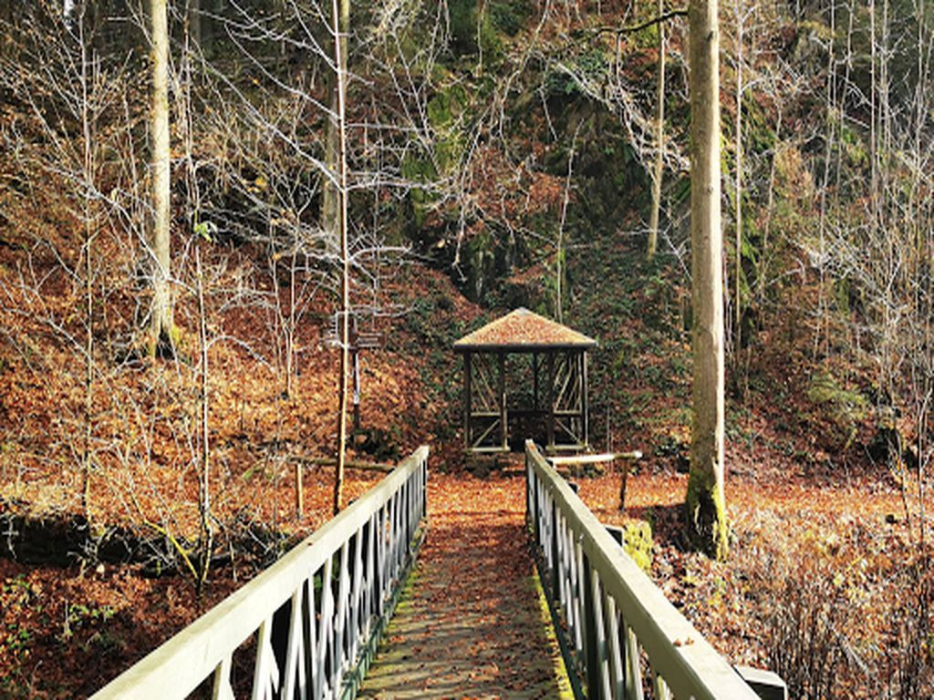Basic shelter Jägersteg