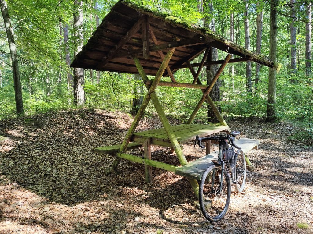 Shelter in the woods