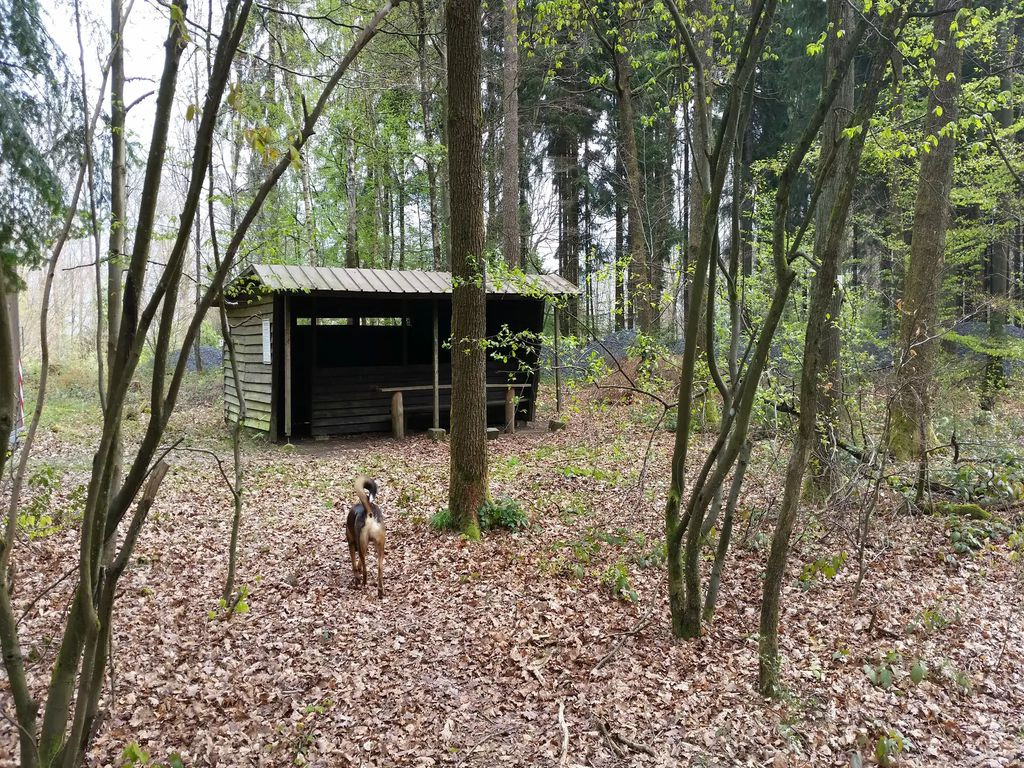 Mooshütte